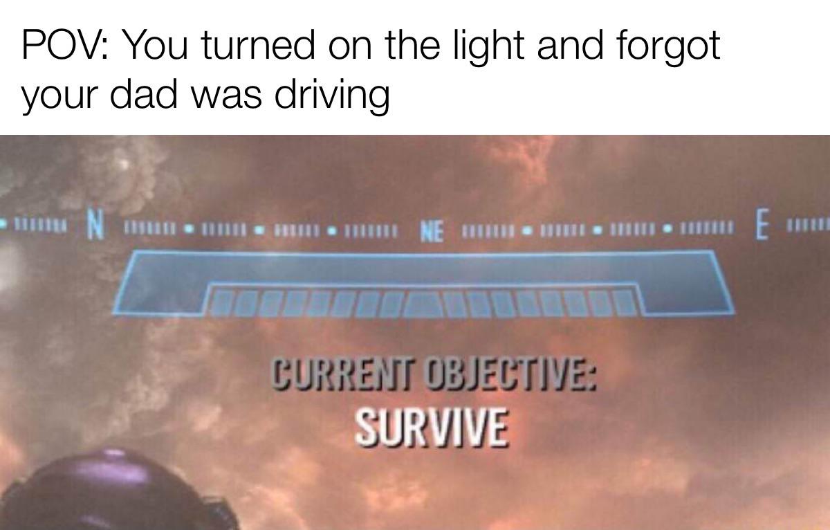 funny and dank memes - reach survive - Pov You turned on the light and forgot your dad was driving Nne E Current Objective Survive