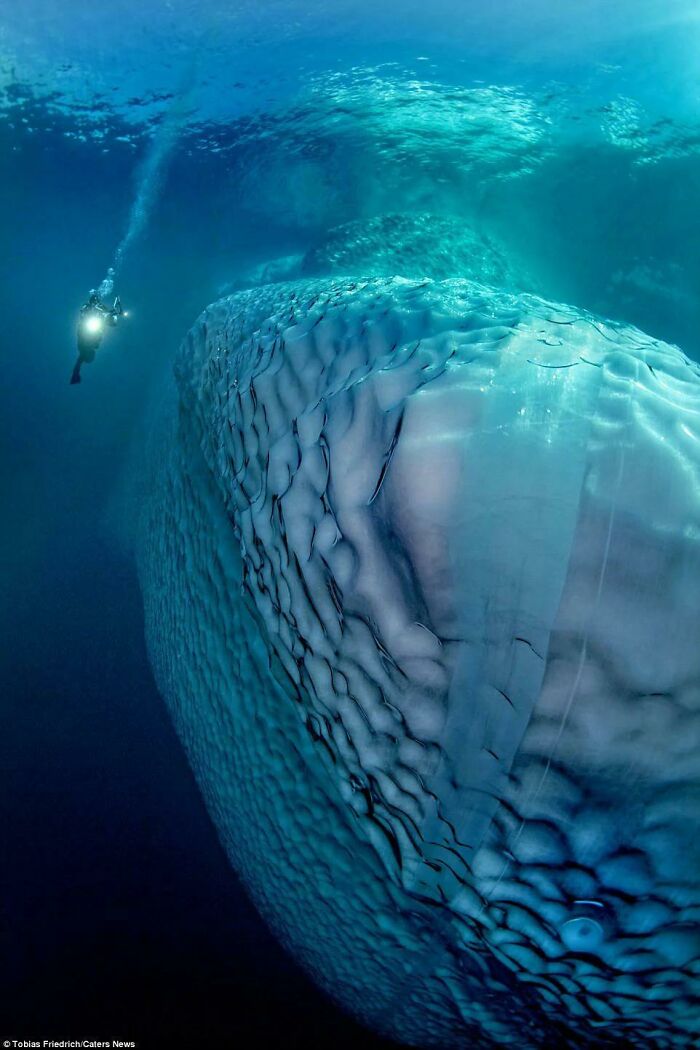 absolute unit sized thigns - iceberg underwater - Tobias FriedrichCaters News
