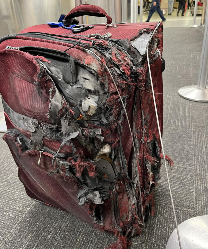 whoops wednesday - damaged luggage - S Pied