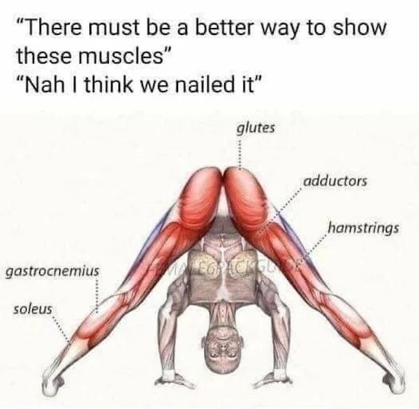 spicy memes sultry saturday - prasarita padotanasana pose - "There must be a better way to show these muscles" "Nah I think we nailed it" gastrocnemius soleus glutes adductors Legrackelce hamstrings