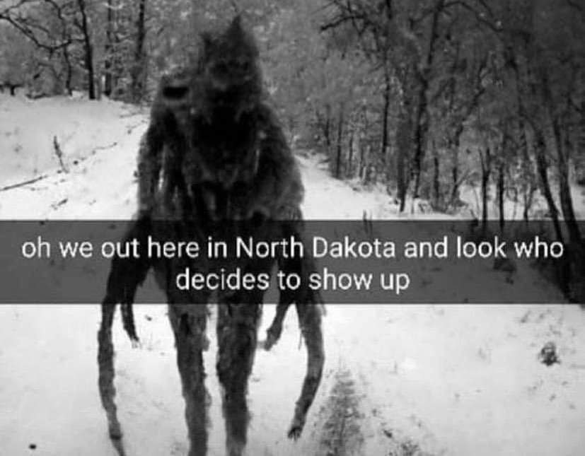 monday morning randomness - oh we out here in north dakota - oh we out here in North Dakota and look who decides to show up