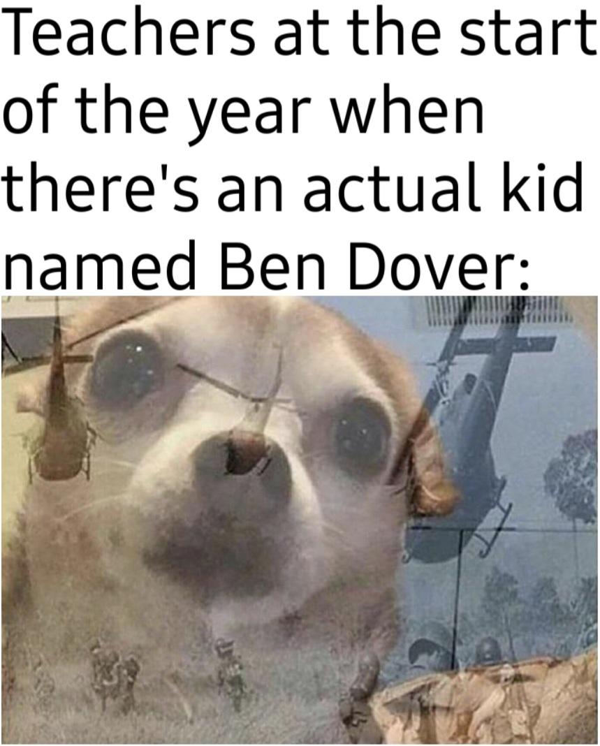 monday morning randomness - dog - Teachers at the start of the year when there's an actual kid named Ben Dover
