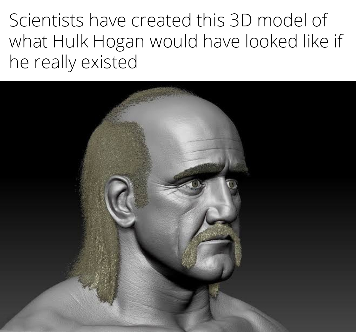 monday morning randomness - head - Scientists have created this 3D model of what Hulk Hogan would have looked if he really existed