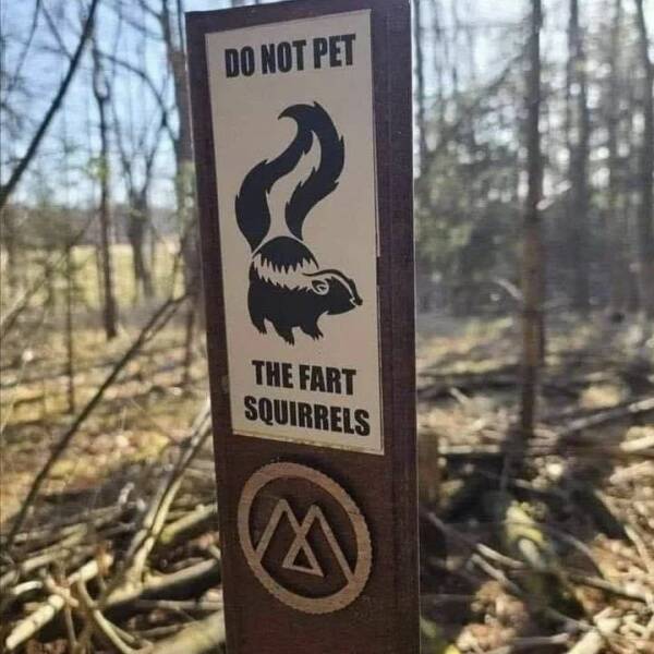 monday morning randomness - tree - Do Not Pet The Fart Squirrels X