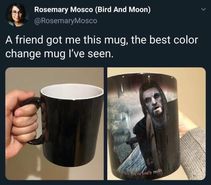 daily dose of pics and memes - skyrim meme mug - Rosemary Mosco Bird And Moon A friend got me this mug, the best color change mug I've seen. You You're finally awake.