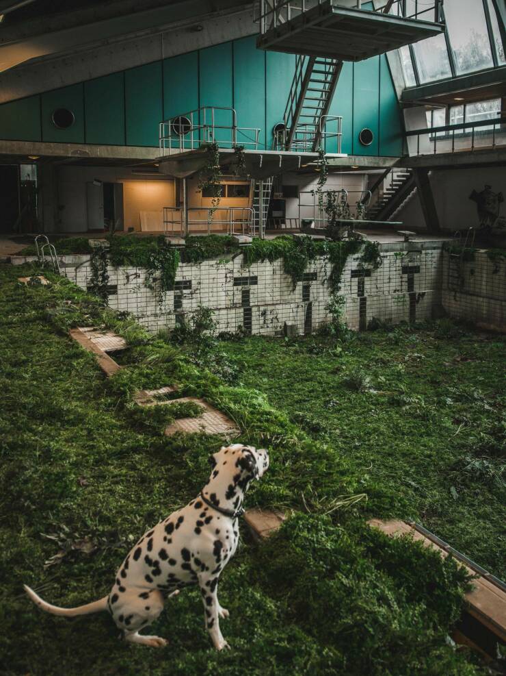 cool pics and photos - abandoned pool denmark