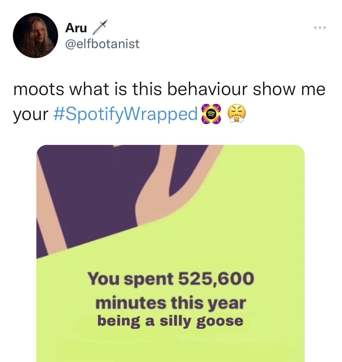 Spotify Wrapped Memes - urine colour chart - Aru X moots what is this behaviour show me your You spent 525,600 minutes this year being a silly goose
