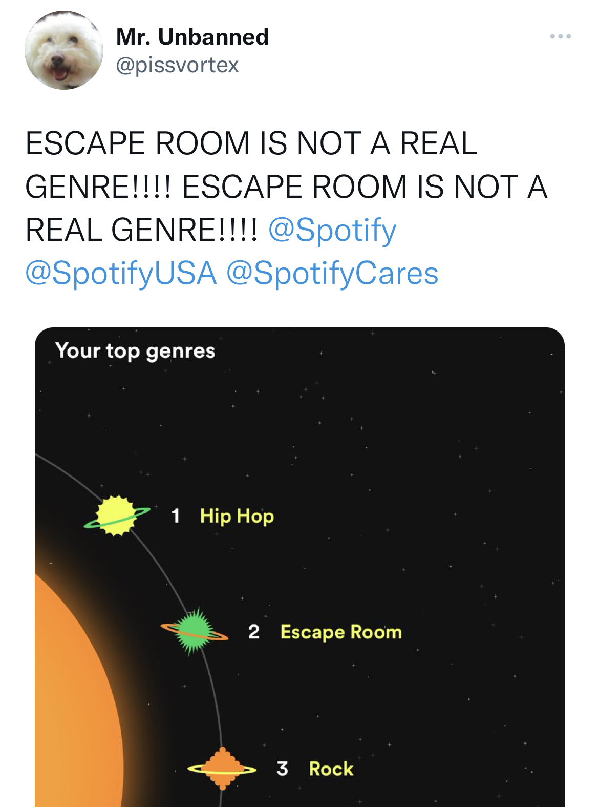 Spotify Wrapped Memes - sky - Mr. Unbanned Escape Room Is Not A Real Genre!!!! Escape Room Is Not A Real Genre!!!! Your top genres 1 Hip Hop 2 Escape Room 3 Rock