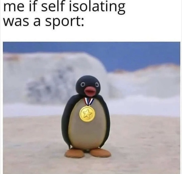 relatable memes - penguin - me if self isolating was a sport