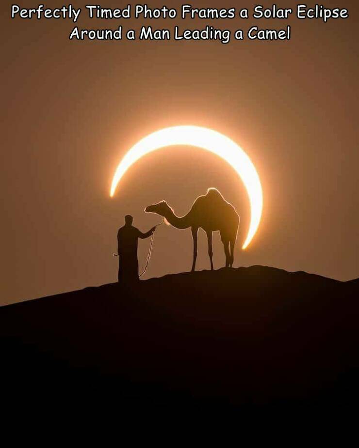 daily dose of randoms - solar eclipse around a man and camel - Perfectly Timed Photo Frames a Solar Eclipse Around a Man Leading a Camel