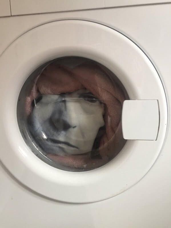 cursed pics - david bowie cushion in washing machine