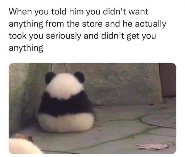 pics and memes daily dose - didn t get anything from store panda meme - When you told him you didn't want anything from the store and he actually took you seriously and didn't get you anything