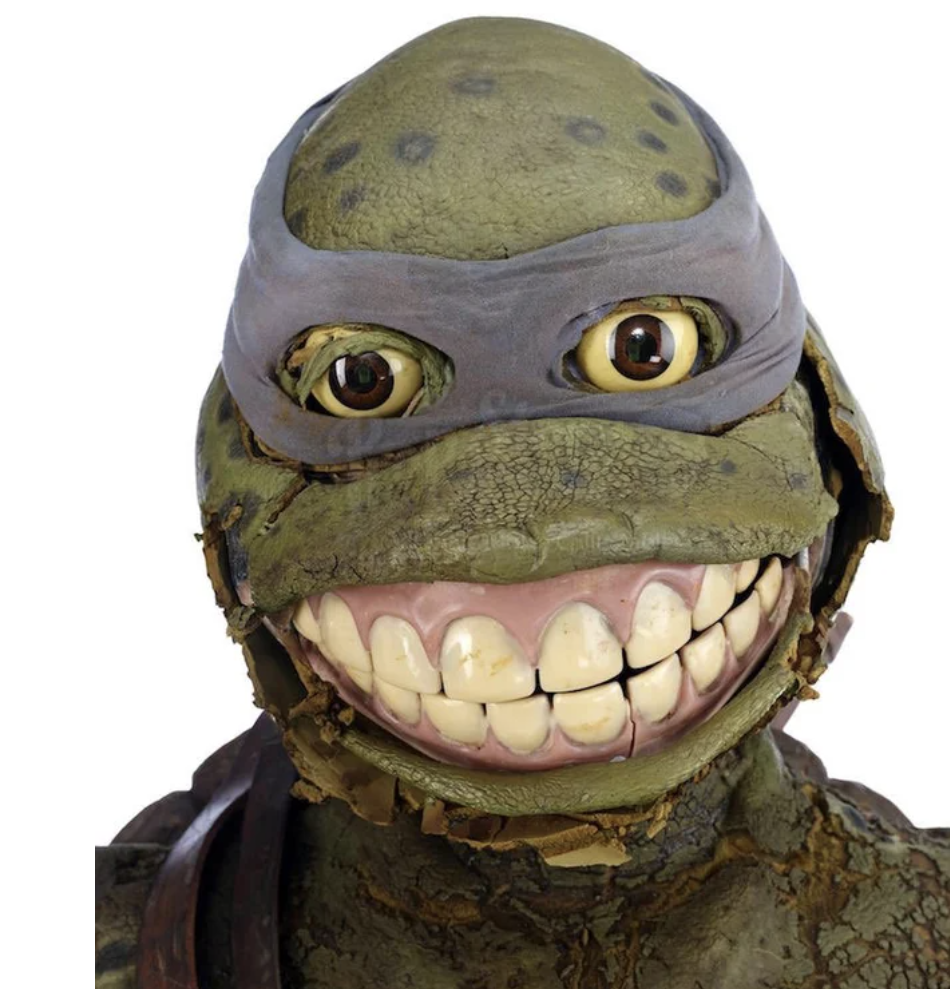 Intriguing and unsettling photos - ninja turtles teeth