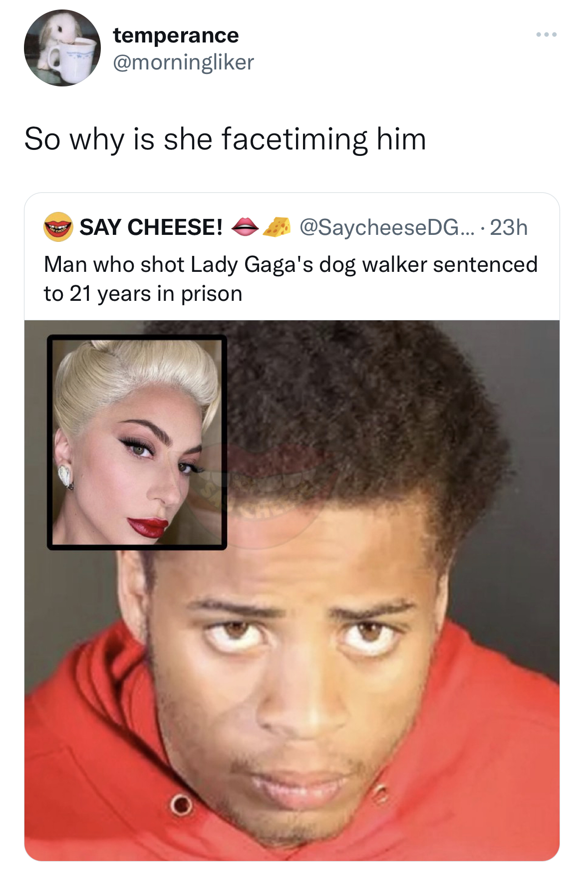 tweets roasting celebs - james howard jackson - temperance So why is she facetiming him Say Cheese! ... 23h Man who shot Lady Gaga's dog walker sentenced to 21 years in prison