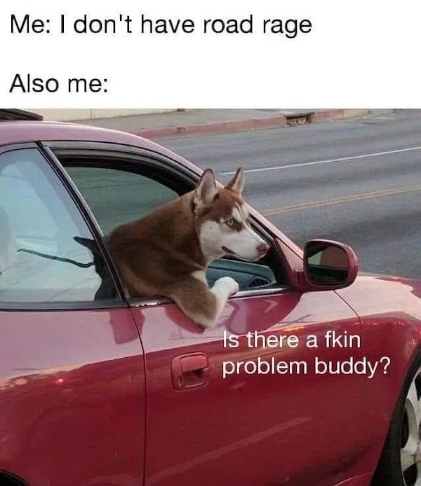 memes that speak the truth - funny road rage - Me I don't have road rage Also me Is there a fkin problem buddy?