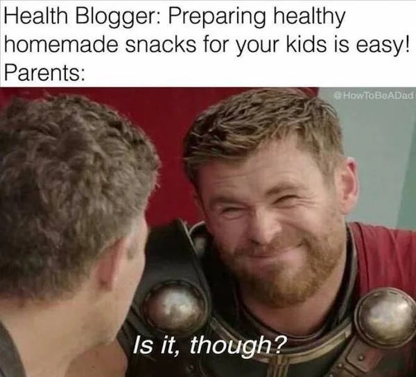memes that speak the truth - photo caption - Health Blogger Preparing healthy homemade snacks for your kids is easy! Parents Is it, though?