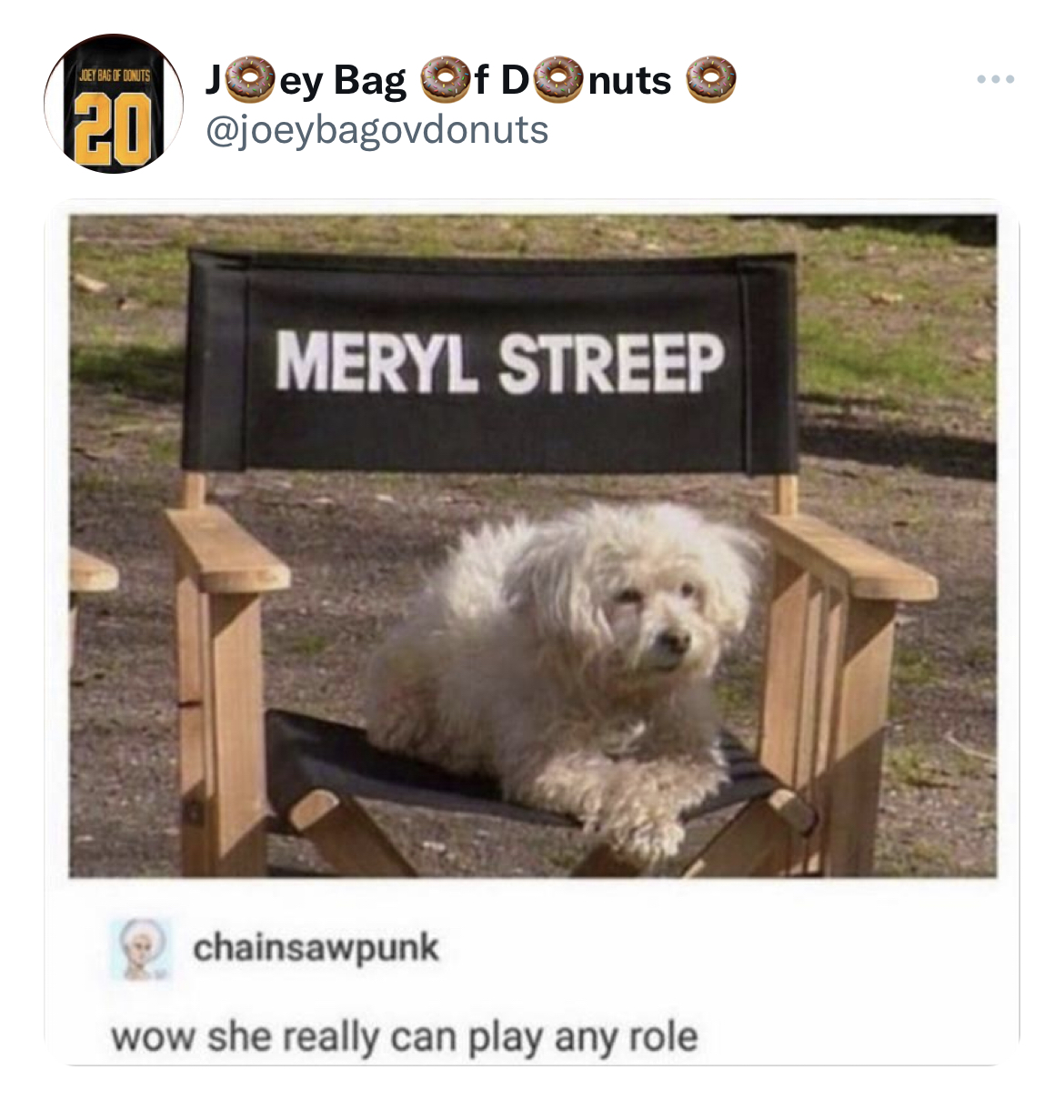 Tweets dunking on celebs - dog - 20 Joey Bag Of Donuts Meryl Streep chainsawpunk wow she really can play any role www