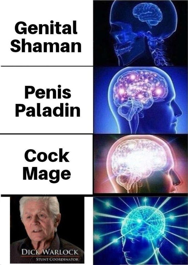 sex memes and dirty pics - dnd mystic meme - Genital Shaman Penis Paladin Cock Mage Dick Warlock Stunt Coordinator