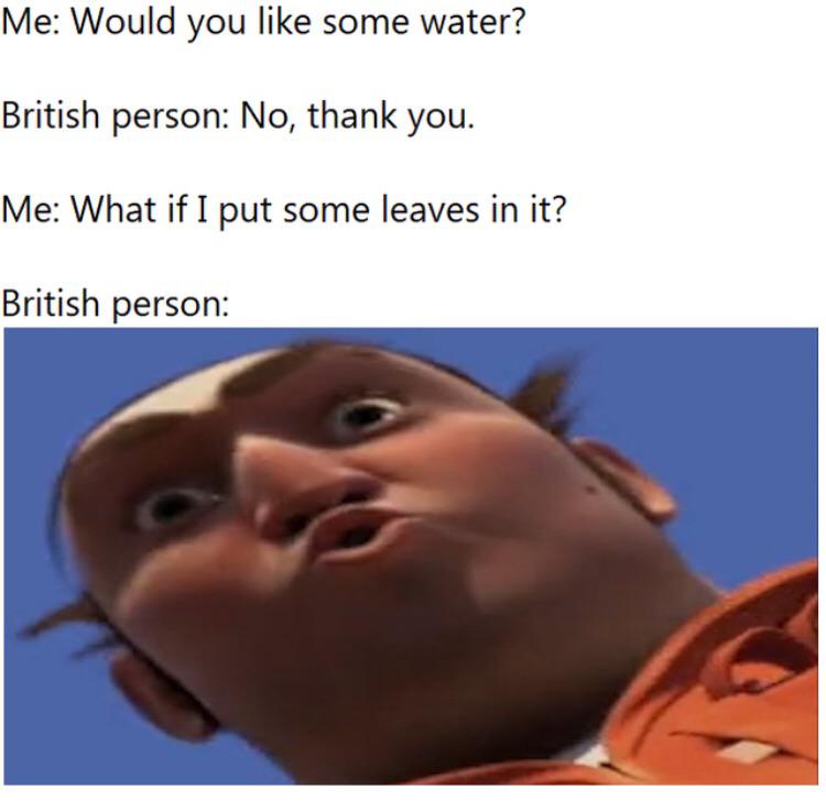 meme stream - zesty meme - Me Would you some water? British person No, thank you. Me What if I put some leaves in it? British person