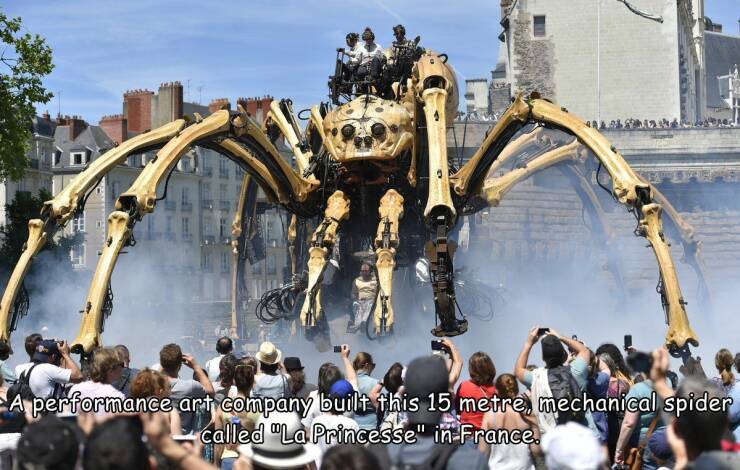 cool random pics for your daily dose - 12 A performance art company built this 15 metre, mechanical spider called "La Princesse" in France.