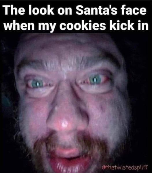 awesome pics and memes - person - The look on Santa's face when my cookies kick in