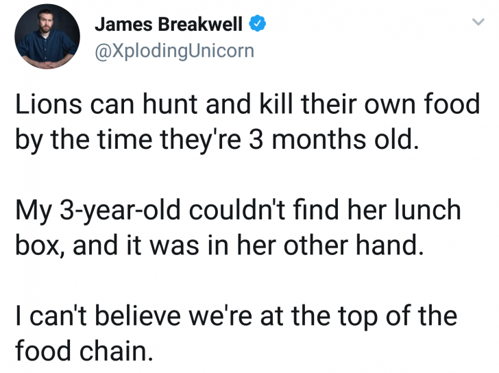 awesome pics and memes - top of the food chain quotes - James Breakwell Lions can hunt and kill their own food by the time they're 3 months old. My 3yearold couldn't find her lunch box, and it was in her other hand. I can't believe we're at the top of the