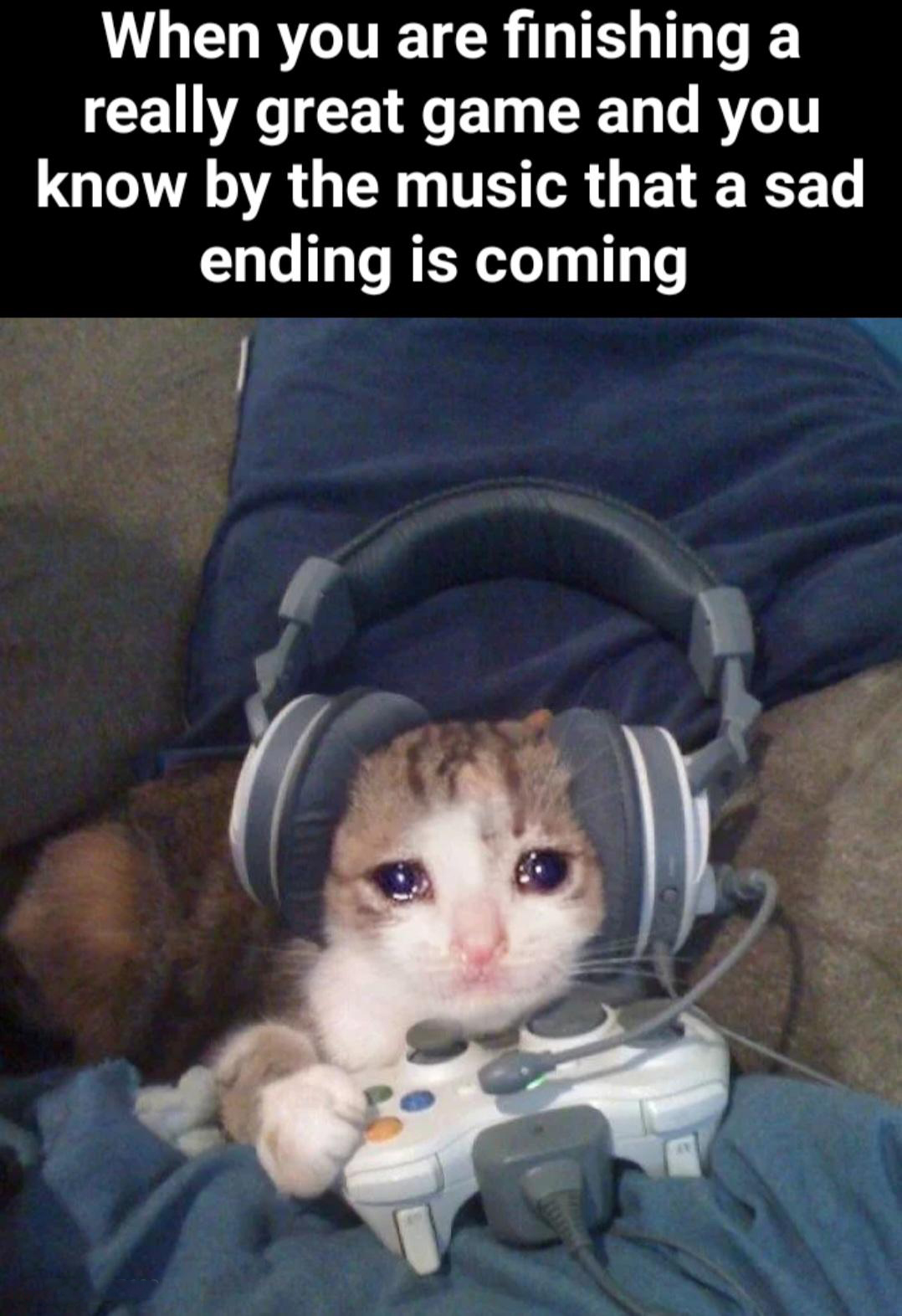 gaming memes - photo caption - When you are finishing a really great game and you know by the music that a sad ending is coming