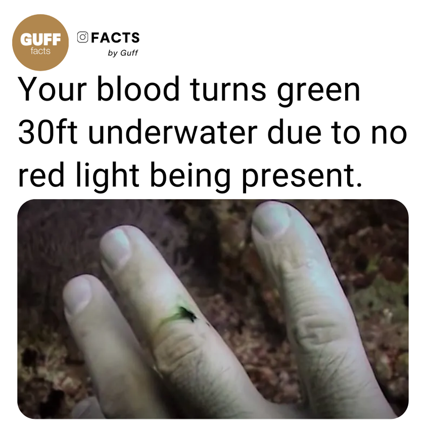 monday morning randomness - blood under water - Guff Facts facts by Guff Your blood turns green 30ft underwater due to no red light being present.