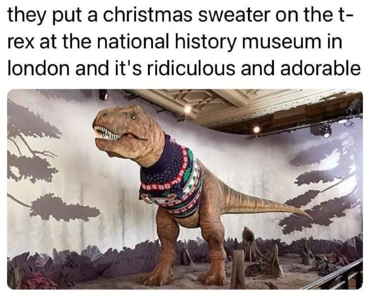 monday morning randomness - natural history museum t rex christmas jumper - they put a christmas sweater on the t rex at the national history museum in london and it's ridiculous and adorable