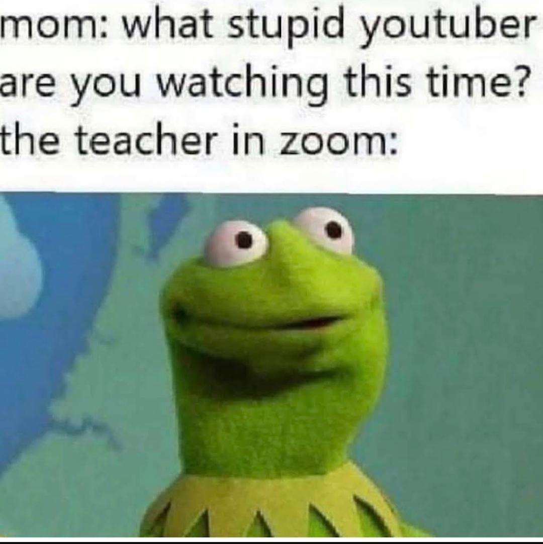 monday morning randomness - fauna - mom what stupid youtuber are you watching this time? the teacher in zoom