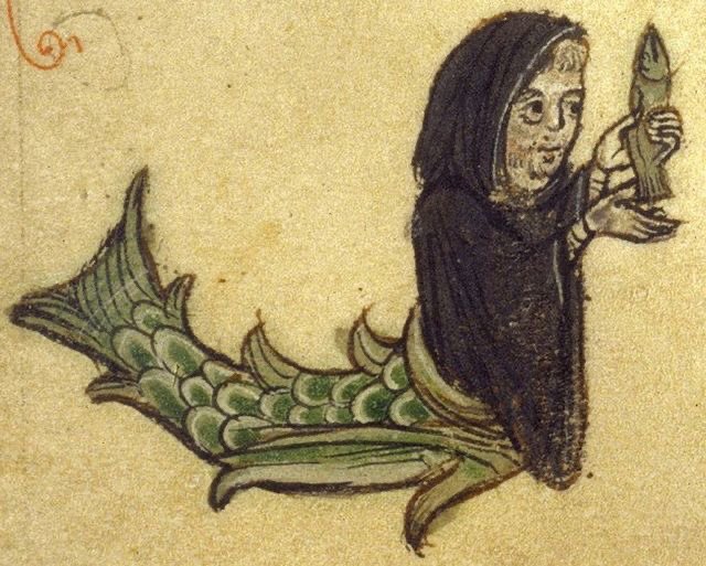 Weird Medieval Guys --  bestiary merman