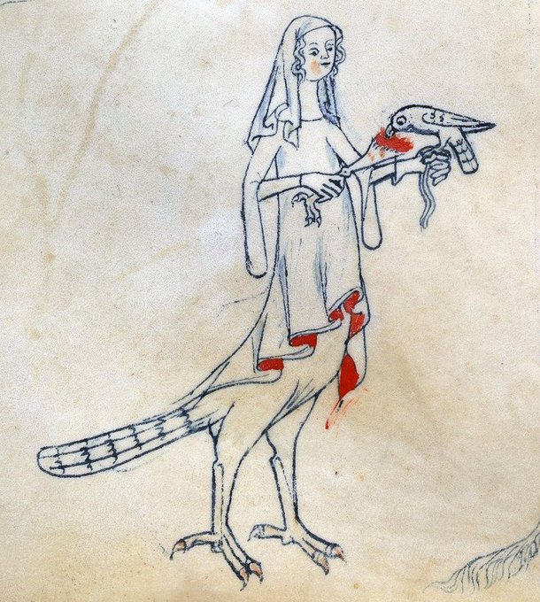 Weird Medieval Guys - medieval bird legs -