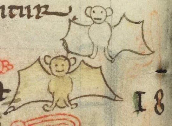 Weird Medieval Guys - medieval bat twitter - 1512 B Sub 81