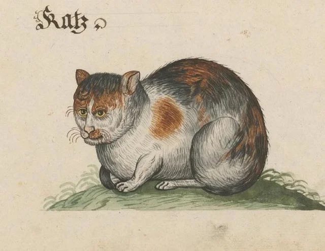 Weird Medieval Guys - medieval cat art - Katz,