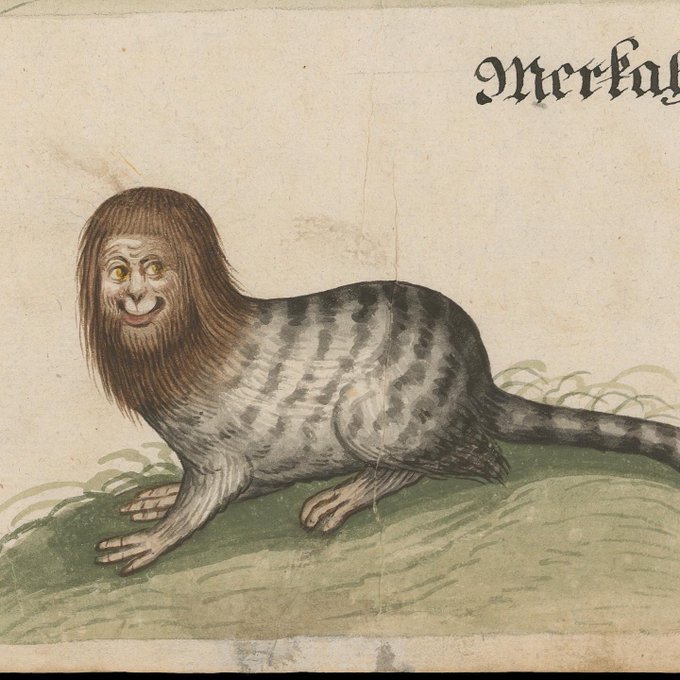 Weird Medieval Guys - fauna