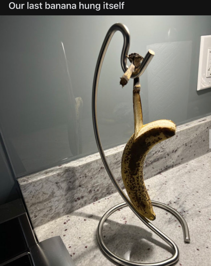 good posts from reddit - brass - Our last banana hung itself