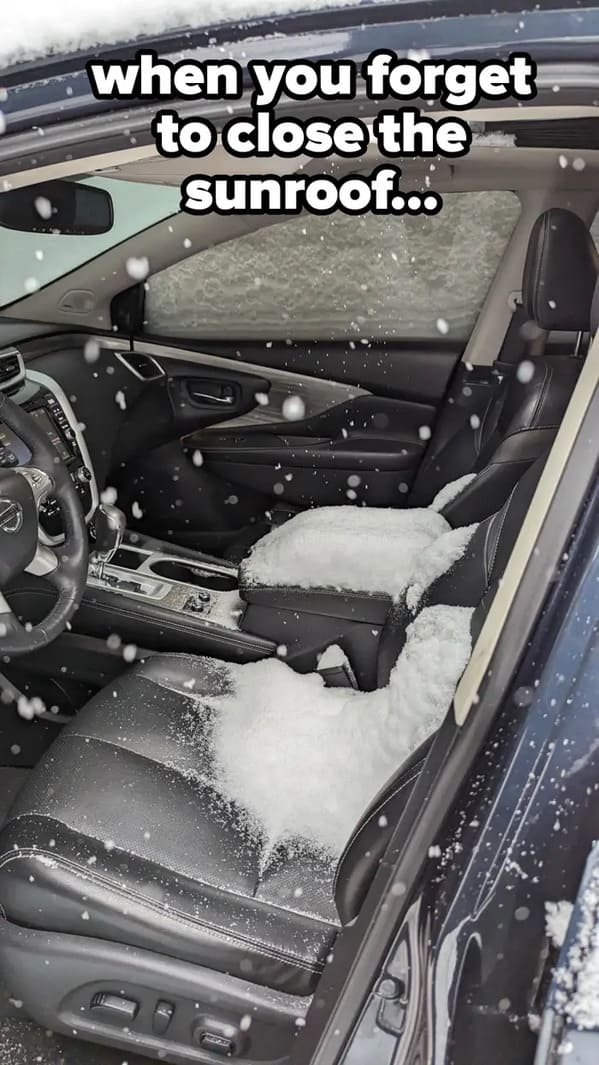 whoops wednesday - Snow - Sucro when you forget to close the sunroof...