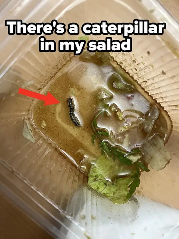 whoops wednesday - food - There's a caterpillar in my salad