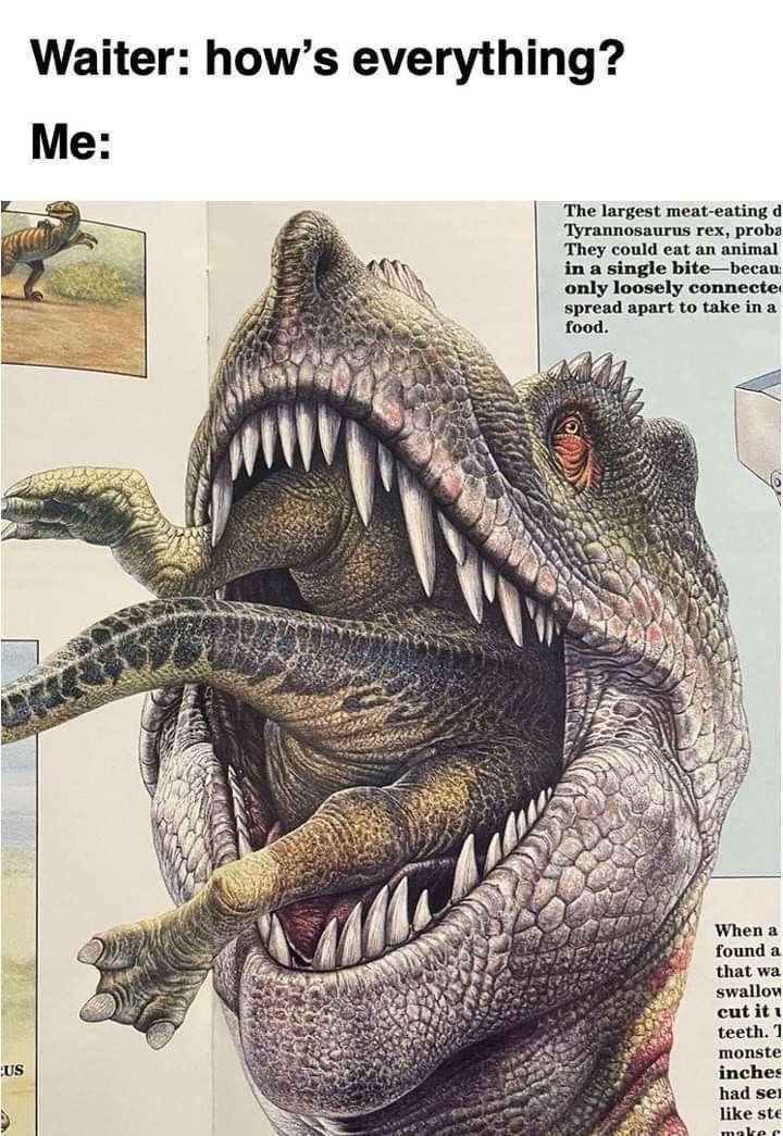 cool pics and memes - google - Us Waiter how's everything? Me Gemee The largest meateating d Tyrannosaurus rex, proba They could eat an animal in a single bitebecau only loosely connecte spread apart to take in a food. When a found a that wa swallow cut i