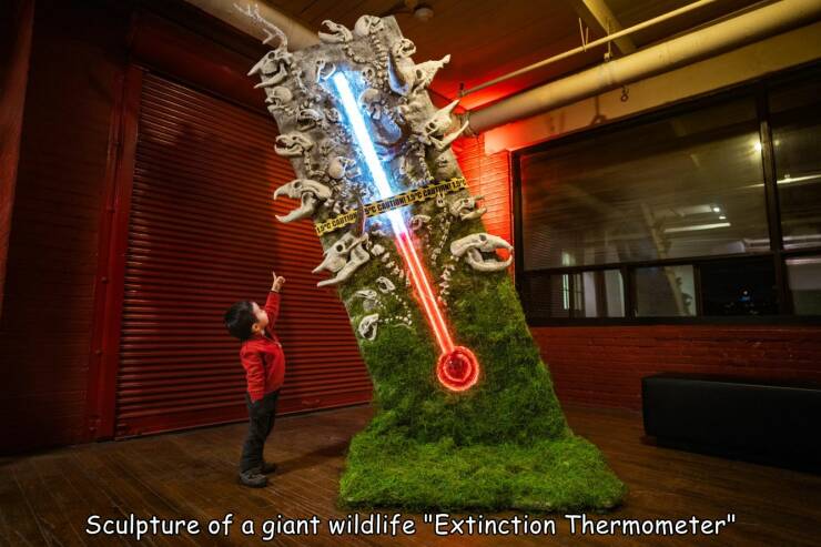 cool pics and memes - tourist attraction - Long Cantion De Caution Loc Corting Loc Sculpture of a giant wildlife "Extinction Thermometer"