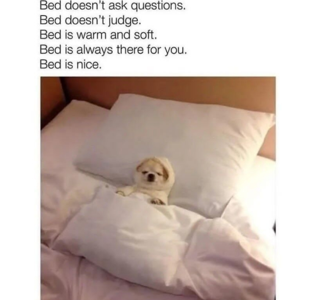 cool pics and memes - bed dont judge meme - Bed doesn't ask questions. Bed doesn't judge. Bed is warm and soft. Bed is always there for you. Bed is nice.