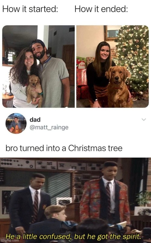 cool pics and memes - girl - How it started dad 0000 How it ended bro turned into a Christmas tree He a little confused, but he got the spirit. imgflip.com