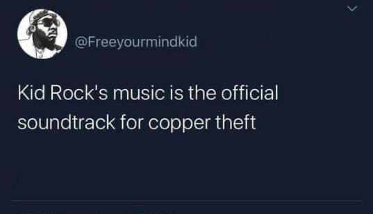 cool pics and memes - false equivalence centrism - Kid Rock's music is the official soundtrack for copper theft