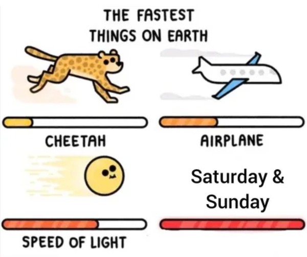 too true memes -  war thunder attack the d point meme - The Fastest Things On Earth Cheetah 1KG! Speed Of Light Airplane Saturday & Sunday