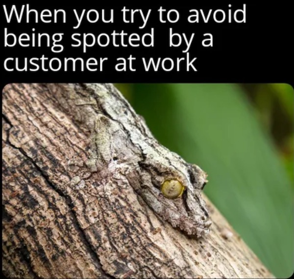 too true memes -  camouflage nature - When you try to avoid being spotted by a customer at work