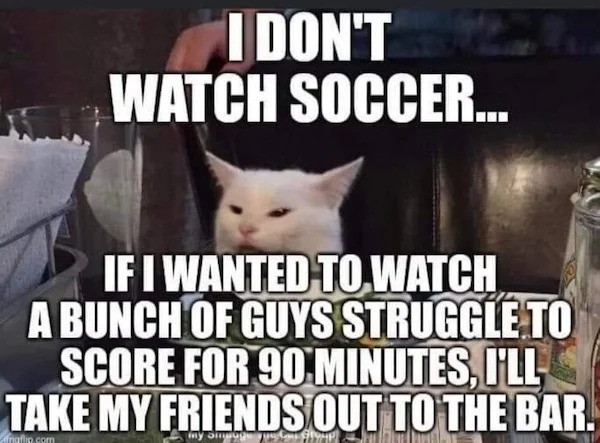 too true memes -  photo caption - I Don'T Watch Soccer... If I Wanted To Watch A Bunch Of Guys Struggle To Score For 90 Minutes, I'Ll Take My Friends Out To The Bar. iny oinpuge ngflip.com