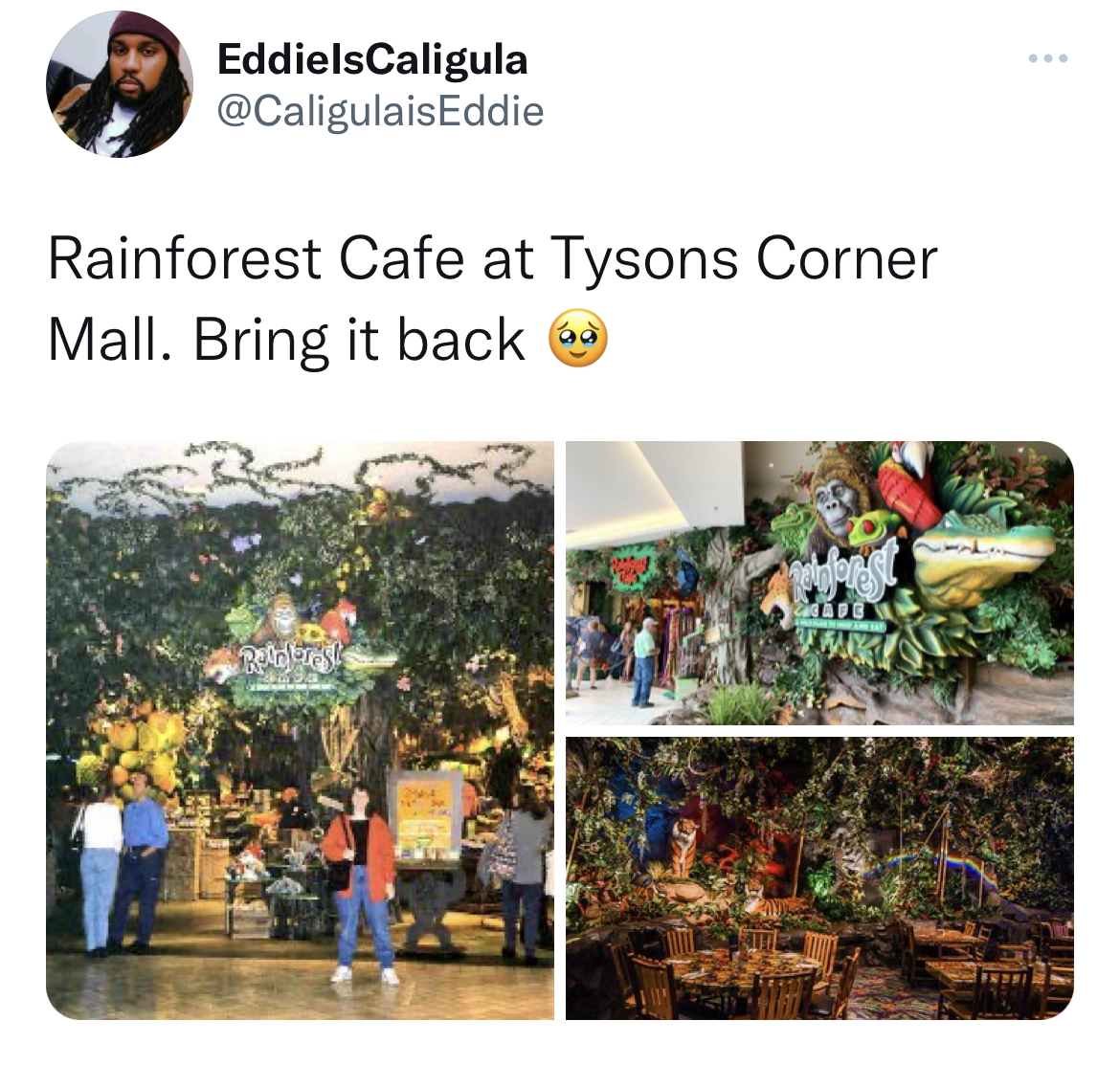Rainforest Cafe.