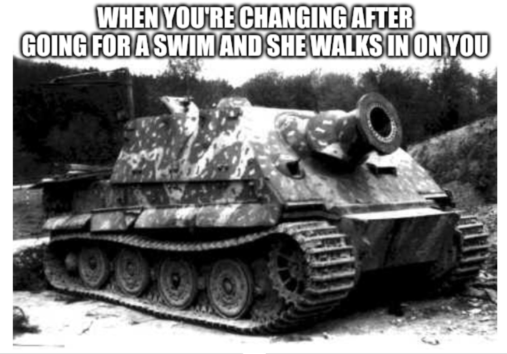 sturmtiger camouflage patterns - When You'Re Changing After Going For A Swim And She Walks In On You