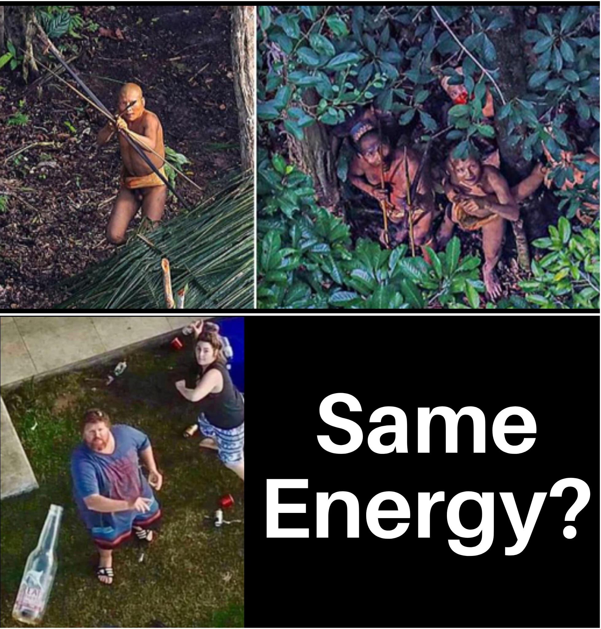 funny memes - nature - Same Energy?