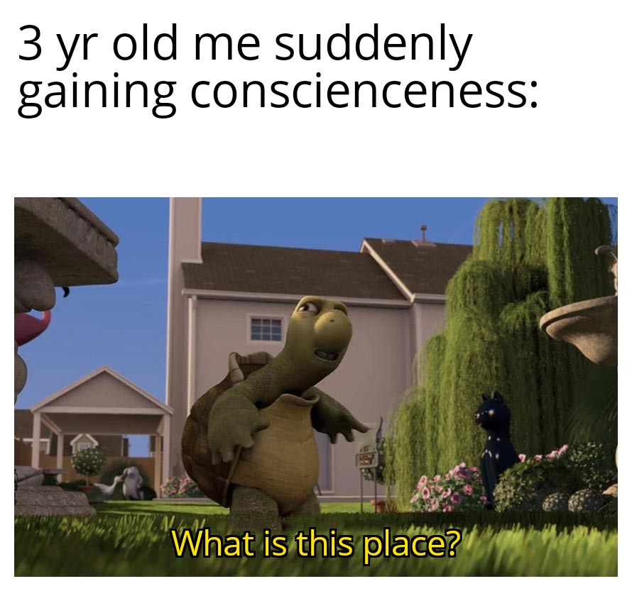 funny memes - Meme - 3 yr old me suddenly gaining conscienceness 1 What is this place?